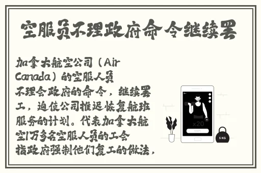 精品国内产的精品视频在线观看